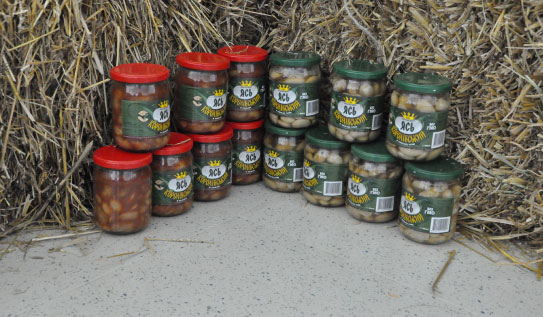 Королівський Ясь